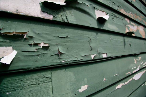 Trusted Rockport, IN Junk Removal Experts
