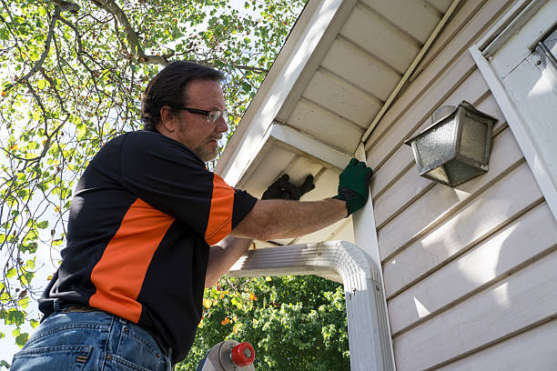 Best Carpet Removal and Disposal  in Rockport, IN